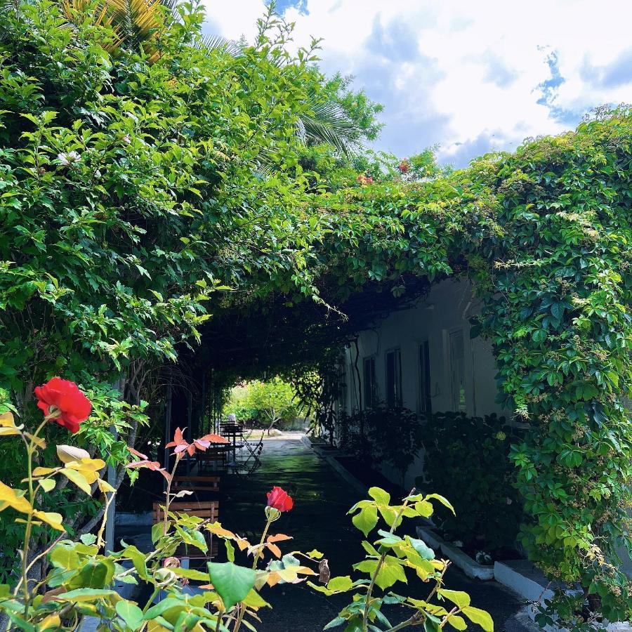 Garden Villa Naza Piqeras Extérieur photo