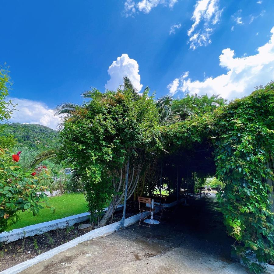 Garden Villa Naza Piqeras Extérieur photo