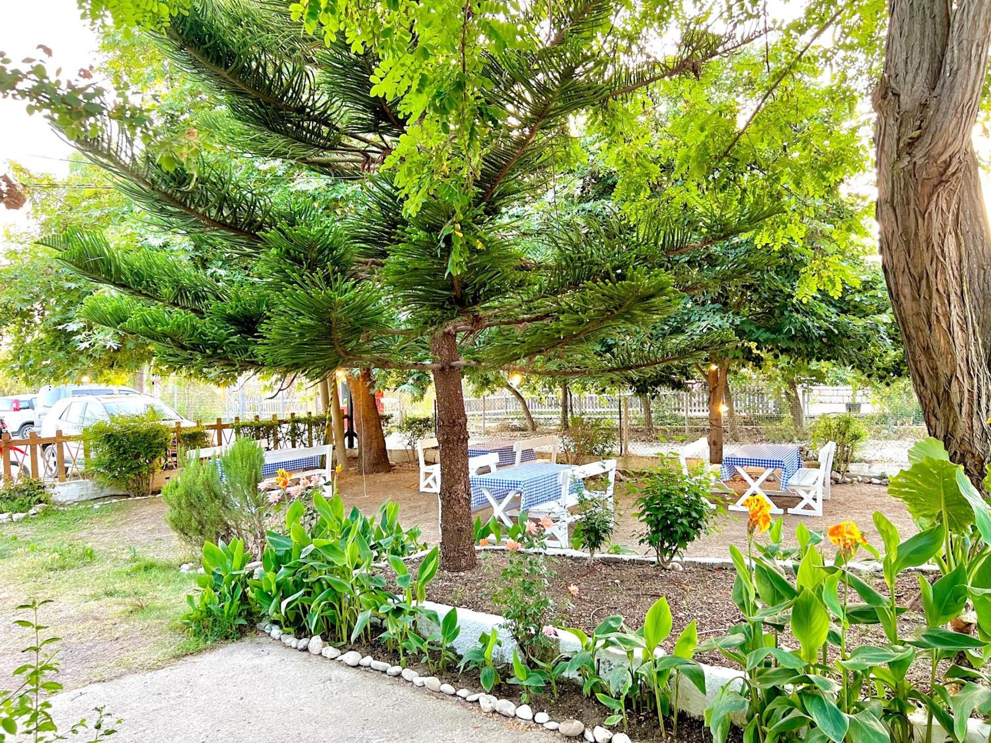 Garden Villa Naza Piqeras Extérieur photo